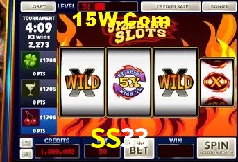 SS33