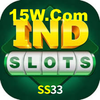 Premium Interface SS33
