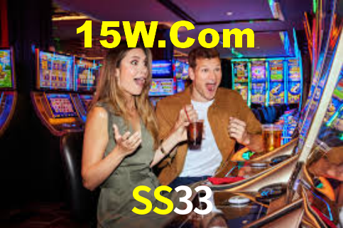 SS33 App Interface